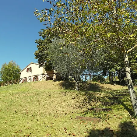 Scappo In Umbria, La Dolce Godera Villa